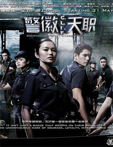 都市纵横之豪婿当道